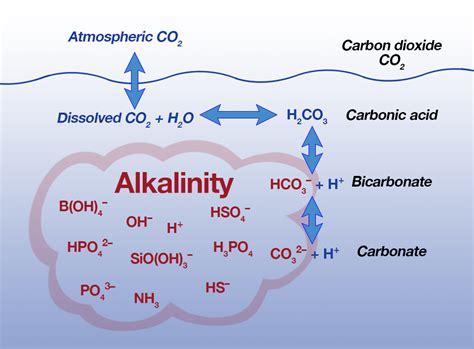 CO2 chemistry in sea water: pH and alkalinity .